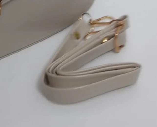 The Patent Buckle Bag - Sling included